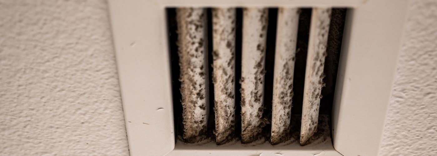Warning Signs Of Air Duct Mold