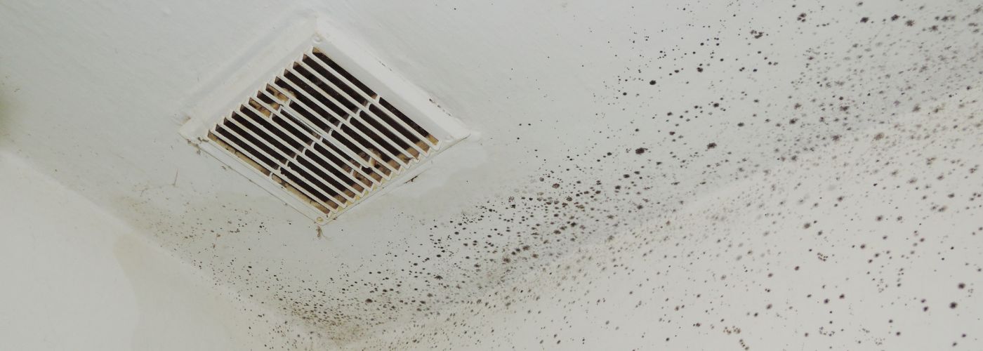 What Causes Mold In Air Ducts